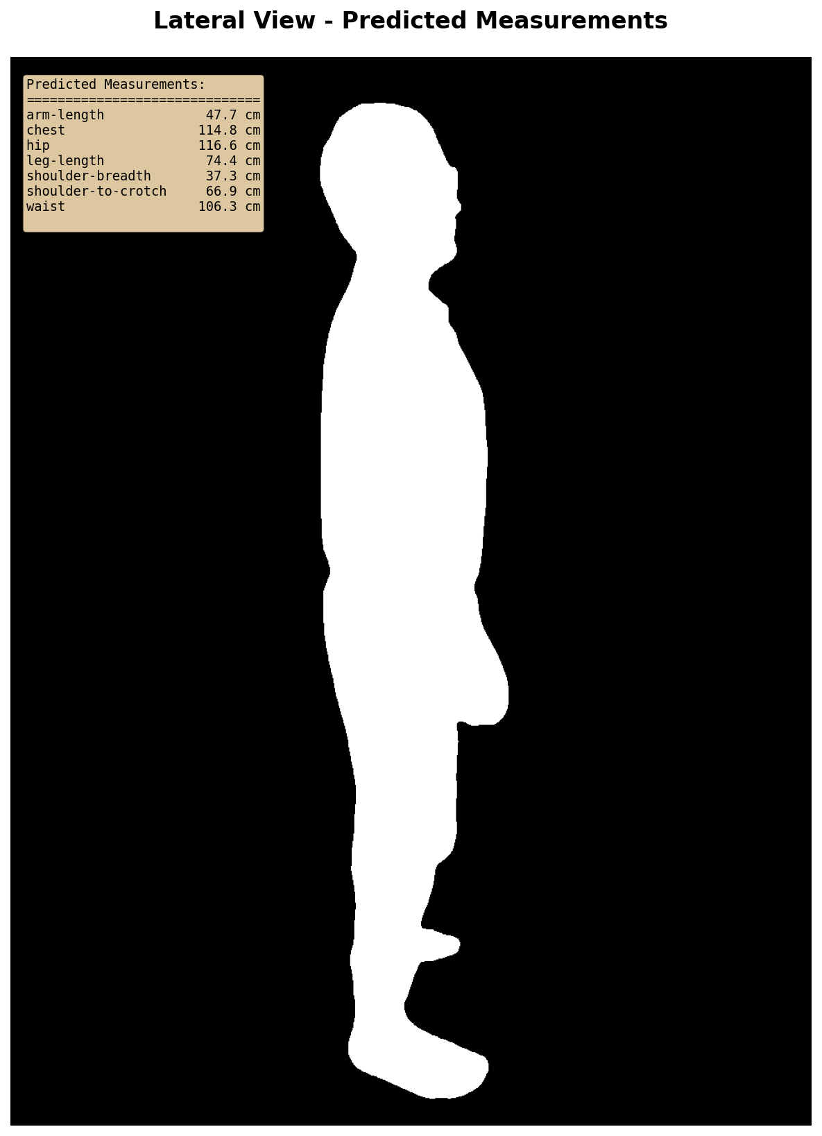 Project screenshot